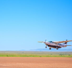 Read more about the article 5 Days Big Sky Safari Experience